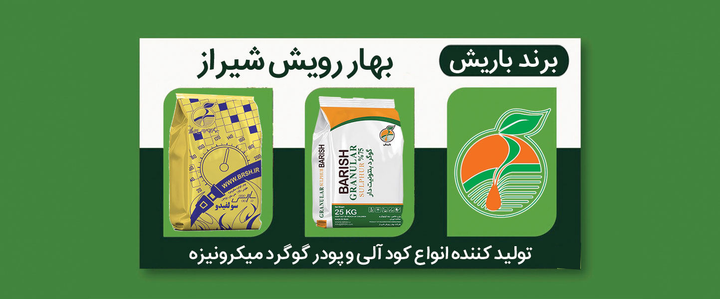 slide-a6aff8d slide-a6aff8d