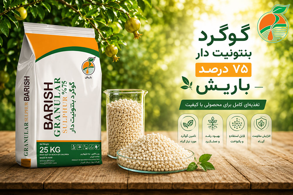 گوگرد بنتونیت دار 75 درصد باریش محصول بهار رویش شیراز